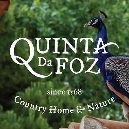 Quinta Da Foz Villa Foz do Arelho Exteriör bild