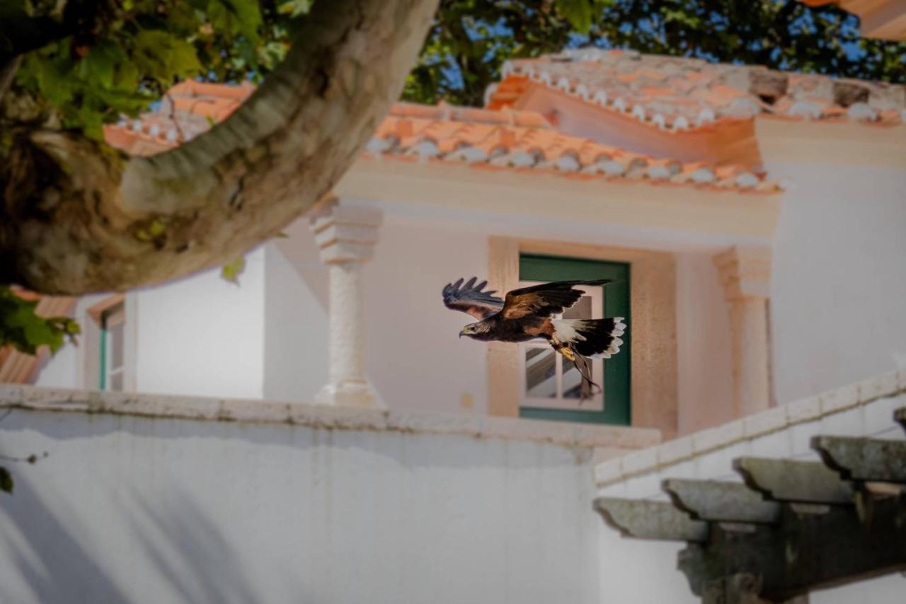 Quinta Da Foz Villa Foz do Arelho Exteriör bild